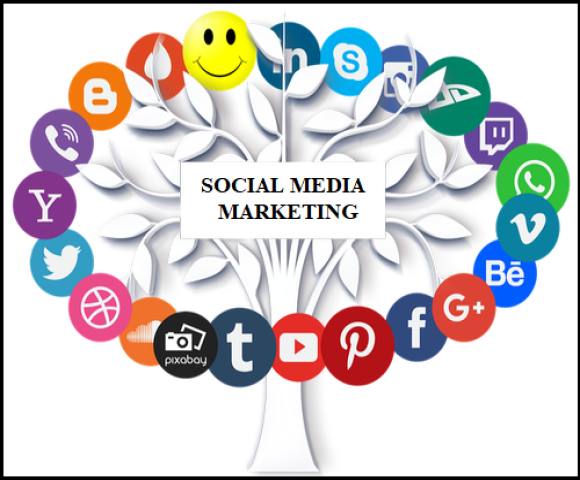 digital marketing course in coimbatore